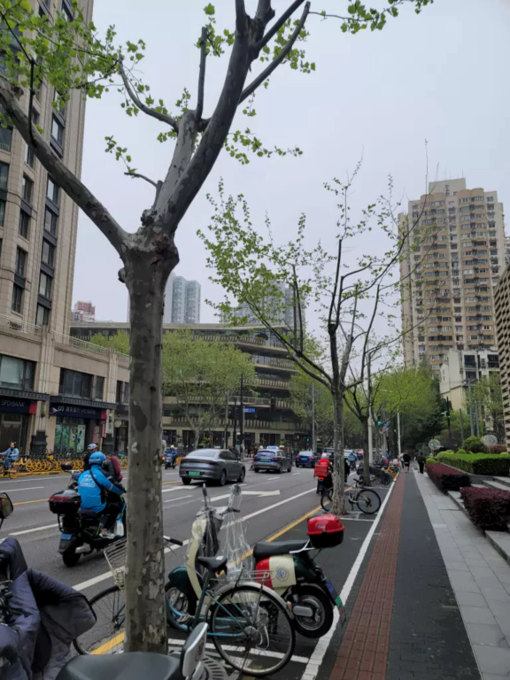 상해 시내의 모습