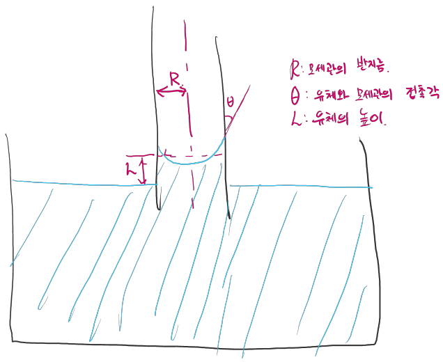 모세관 현상에 대한 개략도.